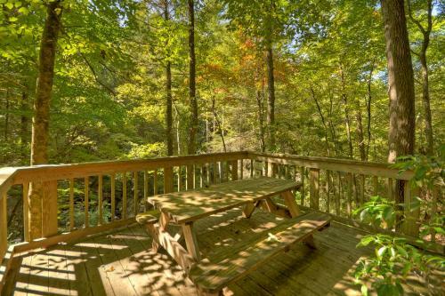 Ellijay Thunder Falls