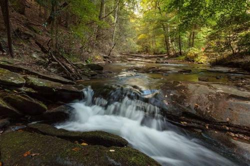 River Glorious