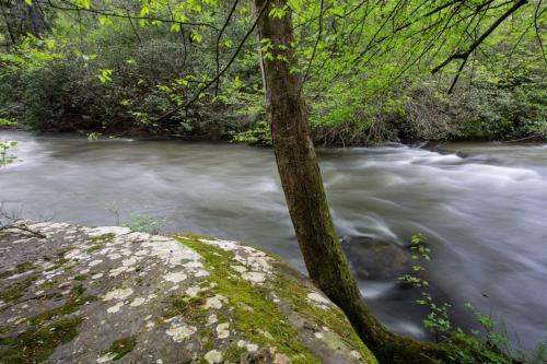 Cool River Dreams