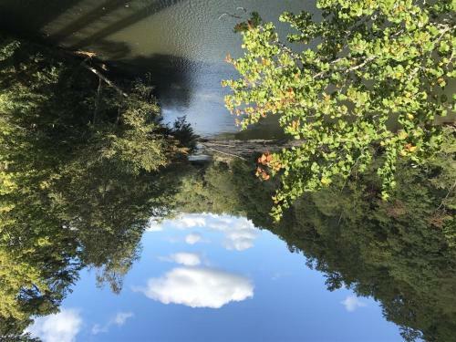 Harleys River Retreat