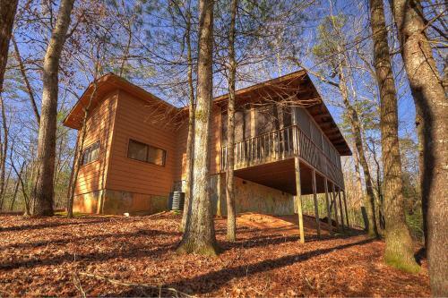 Birch Tree Cabin