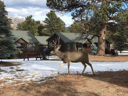Mountain Shadows Resort