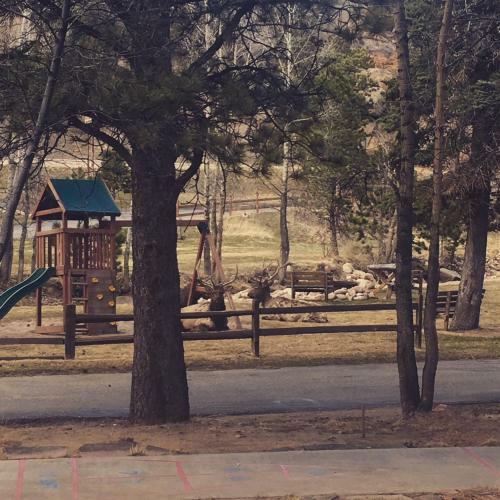 Lodge Riverview Pines