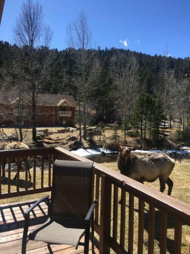 Lodge Riverview Pines