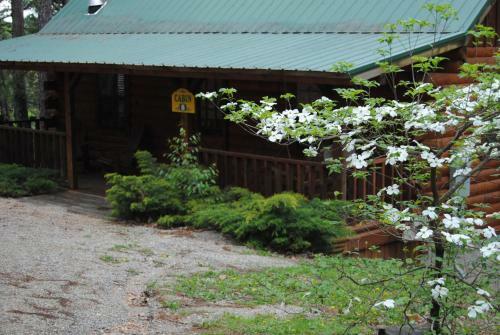 Lodge Cabin Fever Resort