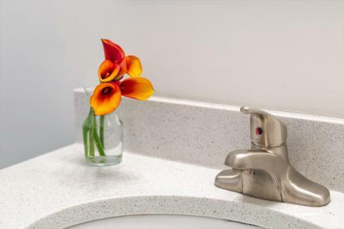 Apartamento Stay Alfred At The Republic