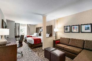 Hotel Comfort Suites