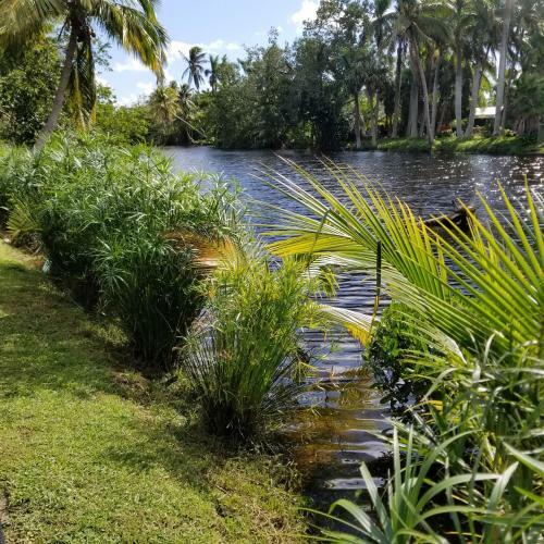 Apartamento Tropical Studio With Private Kitchen And Bath