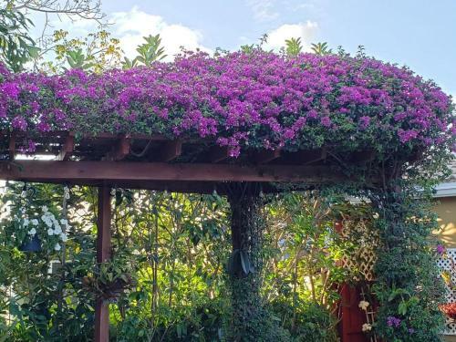 Apartamento Tropical Studio With Private Kitchen And Bath