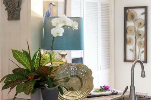 Apartamento Tropical Studio With Private Kitchen And Bath