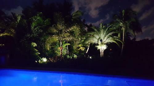 Apartamento Tropical Studio With Private Kitchen And Bath