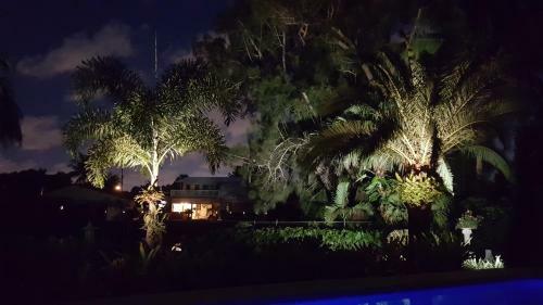 Apartamento Tropical Studio With Private Kitchen And Bath