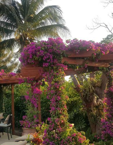 Apartamento Tropical Studio With Private Kitchen And Bath