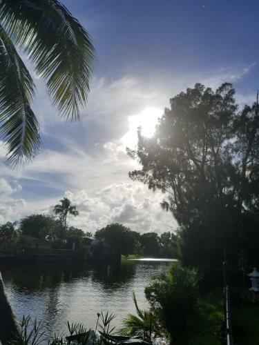 Apartamento Tropical Studio With Private Kitchen And Bath