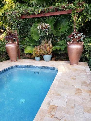 Apartamento Tropical Studio With Private Kitchen And Bath
