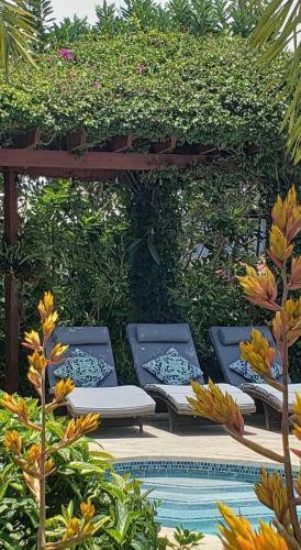 Apartamento Tropical Studio With Private Kitchen And Bath