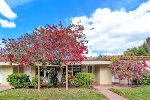 Apartamento Tropical Bliss - 626