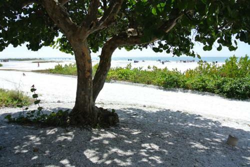 Santa Maria Harbour Resort - One Bedroom Home 311