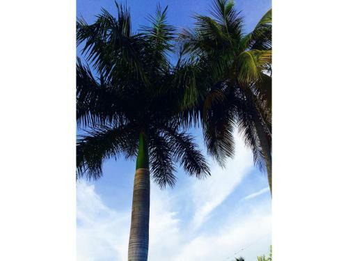 Estero Beach & Tennis #307a Apartment
