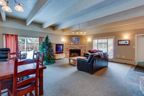 Frisco Mountain Retreat