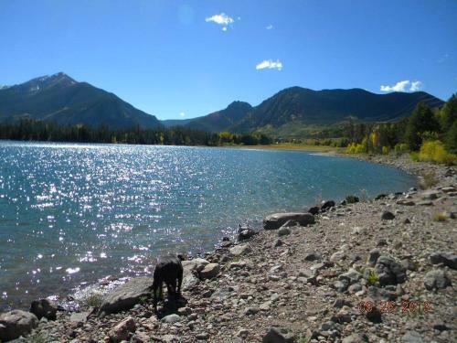 Apartamento 315 Woodbridge Condo