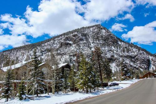 Mountain Side C301