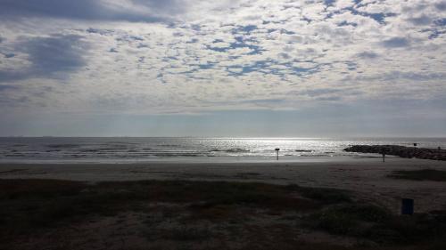 Sea-esta 2927 Avenue R