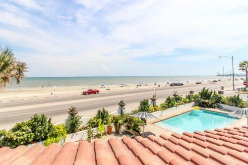 Condo Di Cocco - Kookoo4cocco