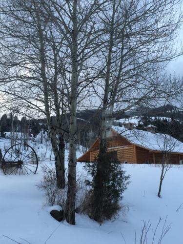Grandpa's Cabin