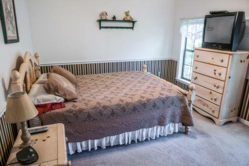 Mountain View Lodge 5 Bedroom Cabin