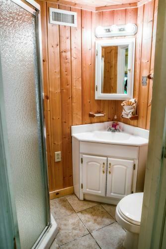 Mountain View Lodge 5 Bedroom Cabin