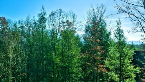 Always Misbehavin #1412 - One Bedroom Cabin