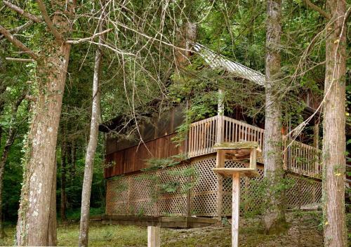 Parkside Party #1676 - One Bedroom Cabin