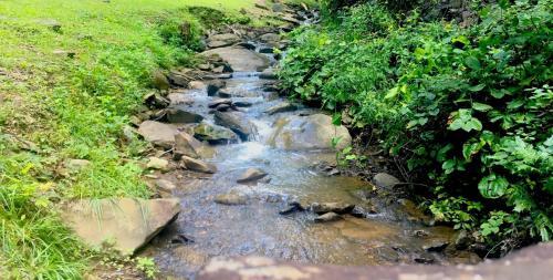 1228 Creekside Serenade