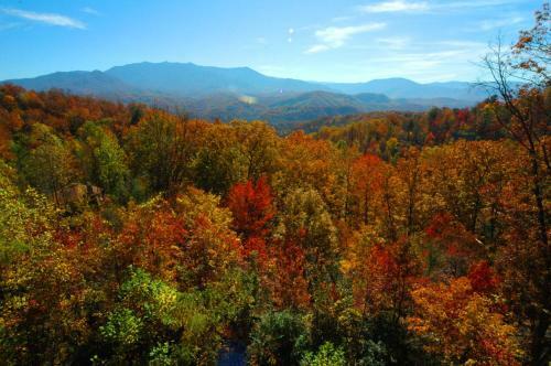 Awesome Views #701 - Six Bedroom Cabin