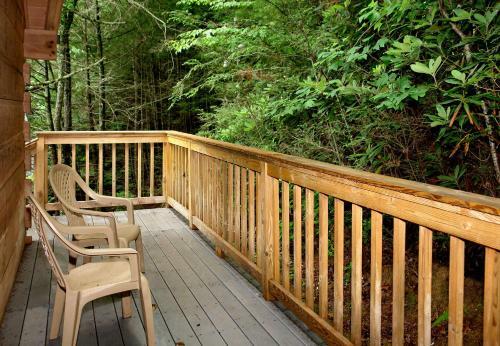 Wild Thing #1525 - One Bedroom Cabin
