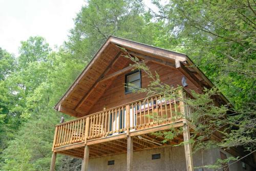 Wild Thing #1525 - One Bedroom Cabin