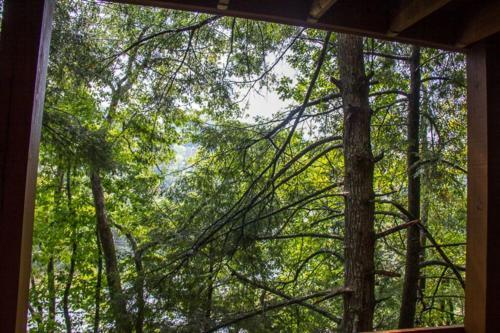 33 Hoot Owl Haven Cabin