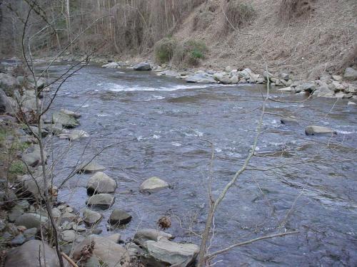 River Dream #466 - Two Bedroom Cabin