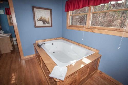 Mountain Glory 2, 1 Bedroom, Hot Tub, Wifi, Pool Table, Pets, Sleeps 2