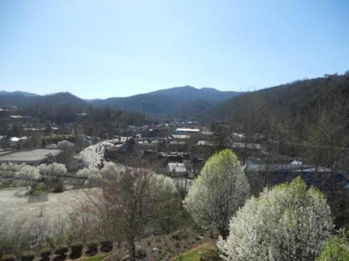 Apartamento Gatlinburg Chateau Condo #506