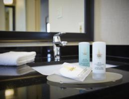 Hotel Comfort Inn South