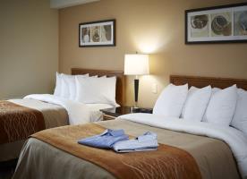 Hotel Comfort Inn South