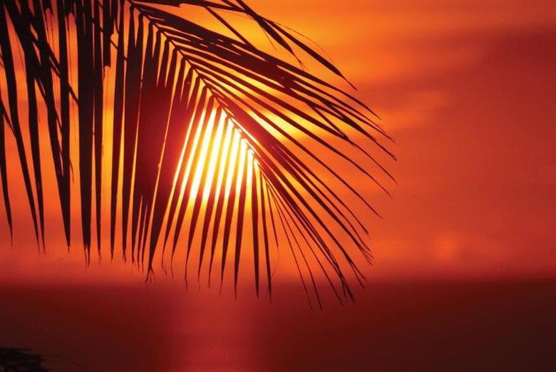 Hotel Best Western Hibiscus
