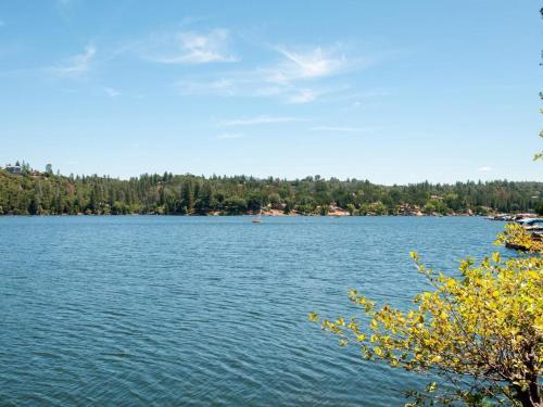 Lakefront Cabin (01/440)