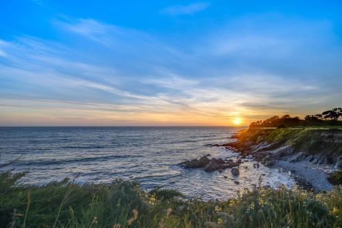 Pelican Bluff