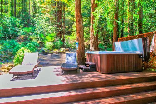 Fern Woods