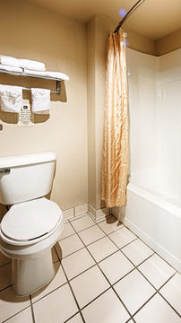 Hotel Best Western Stone Mountain