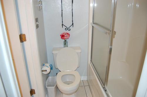 Apartamento Surfside Shores 2502 Condo
