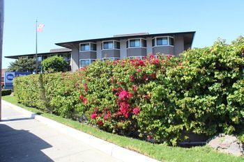 Hotel Best Western De Anza Inn